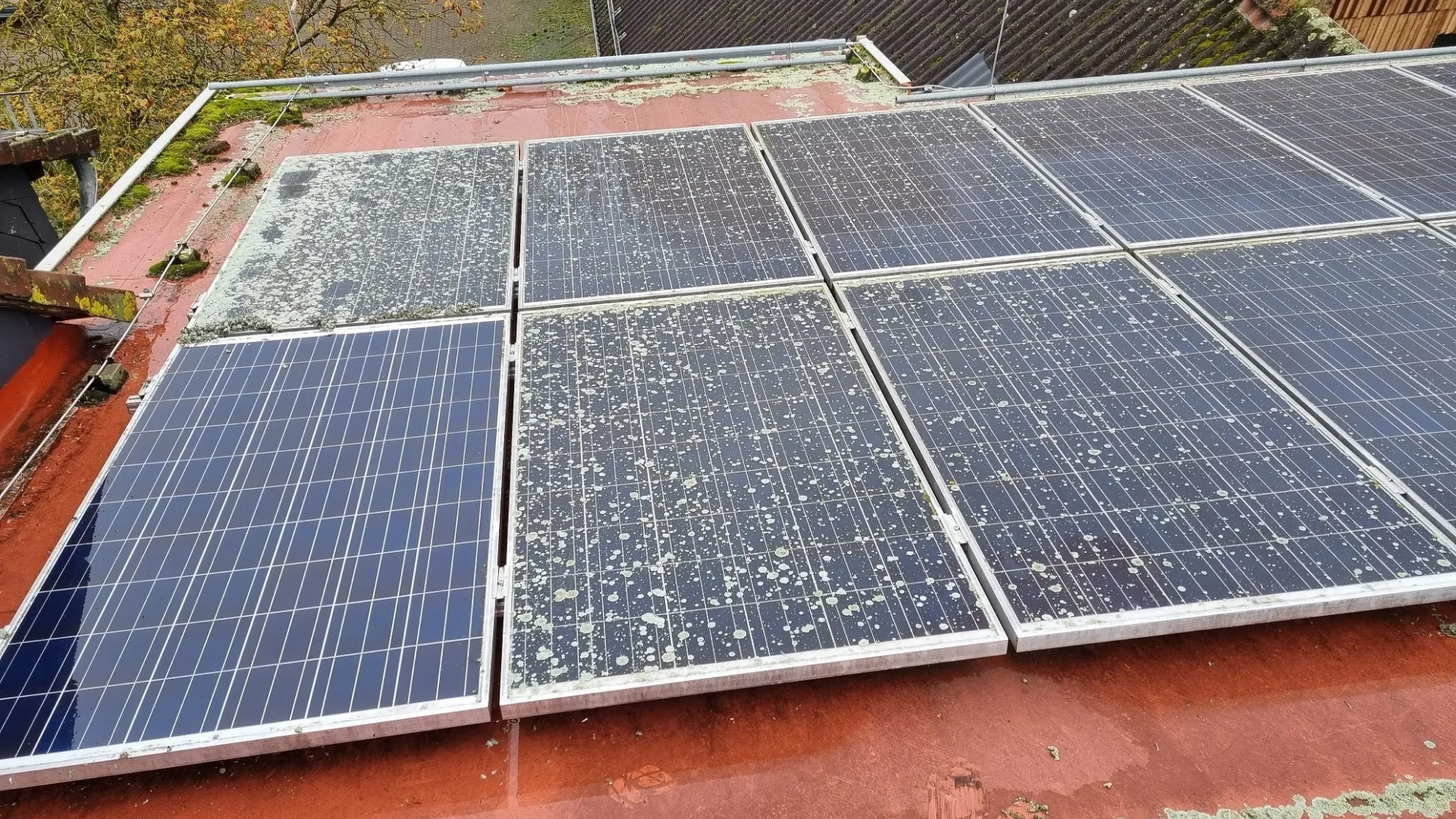 agropv-cover.webp