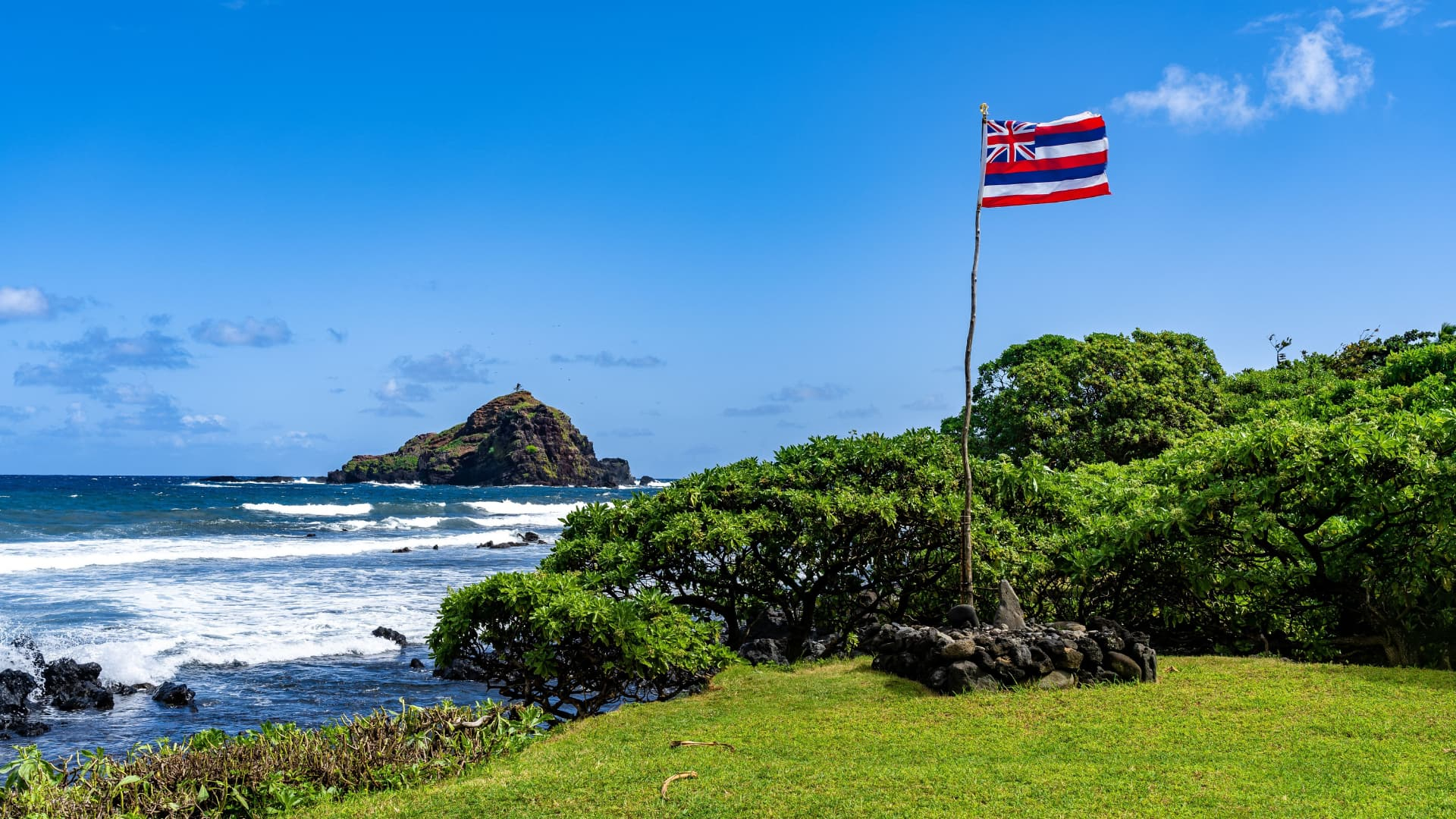 dronpro-drony-zachranuji-ptaky-na-maui.jpg