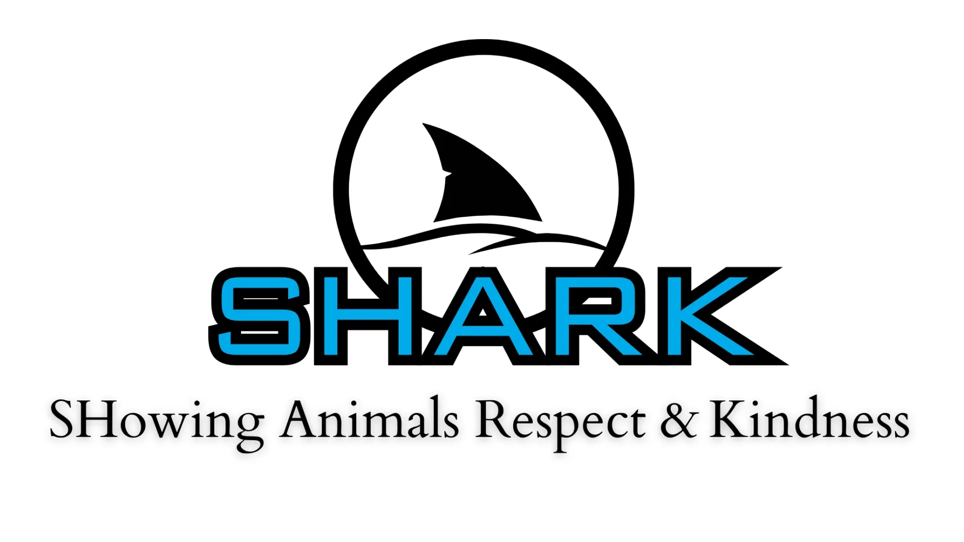 shark-cover.webp