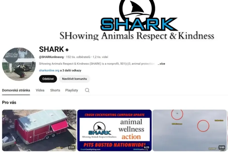shark-yt-855x570_do