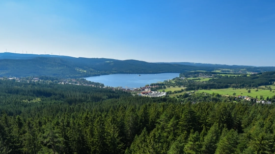 sumava-cover.webp